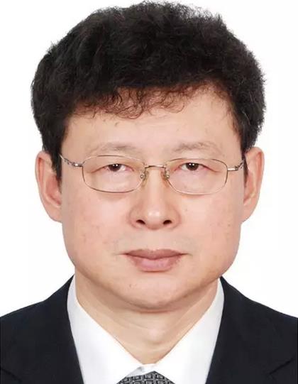 王繼業(yè)等:中日韓電網關鍵技術發(fā)展及趨勢分析