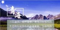 守護碧水藍天 國家電投在“<font color=