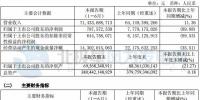 華能國際：2017上半年實現(xiàn)權(quán)益利潤7.88億元 風電裝機超3800兆瓦