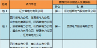 2017年國網(wǎng)第六次變電設(shè)備—消弧線圈中標(biāo)侯選人名單