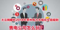 2018年貴州電力市場(chǎng)化交易規(guī)則解析 售電公司怎么玩？