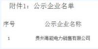 貴州新公示1家售電公司 貴州粵能電力銷售有限公司