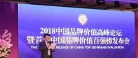 長江電力榮登2017年中國品牌價值百強(qiáng)榜