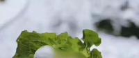 氣荒之后，又輪到了電煤供給的緊張局面