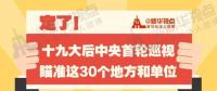 定了！華電集團、中核集團將接受十九屆中央第一輪巡視