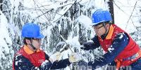 滁州供電:冒雪搶修<font color=