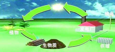 生物質(zhì)是替代核電、火電 彌補(bǔ)天然氣缺口的一種重要新能源