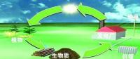 生物質(zhì)是替代核電、火電 彌補(bǔ)天然氣缺口的一種重要新能源
