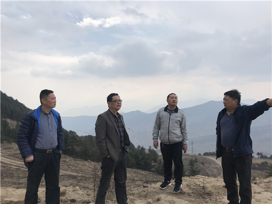 蘭樹(shù)林檢察長(zhǎng)實(shí)地調(diào)研協(xié)調(diào)解決清溪風(fēng)電建設(shè)遺留問(wèn)題