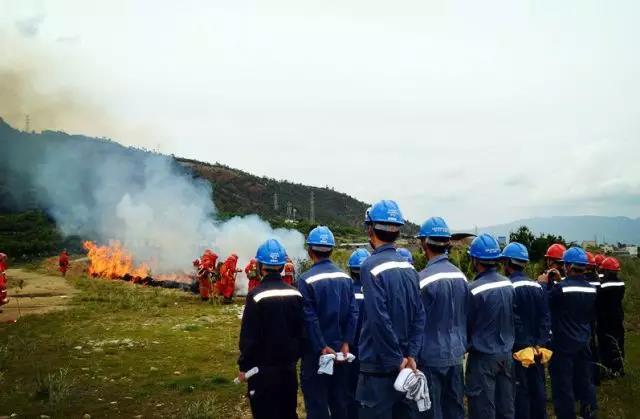 聽說最近輸電線路和鐵塔“火”啦！