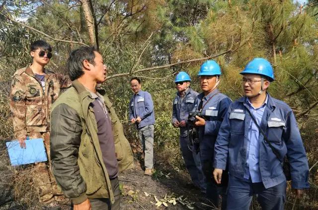 聽說最近輸電線路和鐵塔“火”啦！