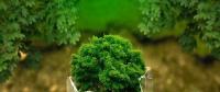 山東樂陵鐵營(yíng)鎮(zhèn)光伏發(fā)電項(xiàng)目助力149戶貧困戶脫貧