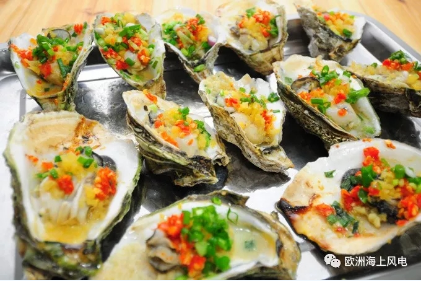 維斯塔斯海上風(fēng)機(jī)搞創(chuàng)新：居然還用到生蠔！