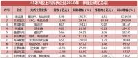 一季度45家光伏企業(yè)業(yè)績榜單登場：超八成飄紅，兩級分化現(xiàn)象嚴重