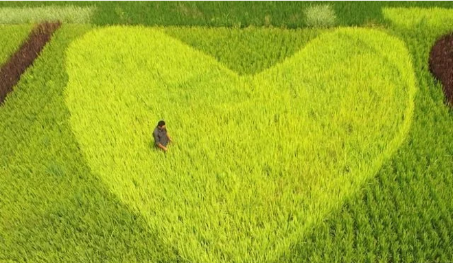 互聯(lián)網(wǎng)給農(nóng)民農(nóng)業(yè)帶來了什么？本文告訴你！