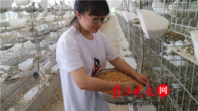 一個(gè)“80”后研究生的“綠色農(nóng)業(yè)夢(mèng)”：用“互聯(lián)網(wǎng)+”思維做農(nóng)業(yè)，新型職業(yè)農(nóng)民“潮”起來(lái)