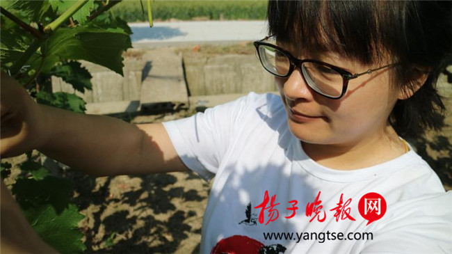 一個(gè)“80”后研究生的“綠色農(nóng)業(yè)夢(mèng)”：用“互聯(lián)網(wǎng)+”思維做農(nóng)業(yè)，新型職業(yè)農(nóng)民“潮”起來(lái)
