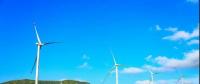 好一個龐然大物！欽州這個風電站建成這樣啦！