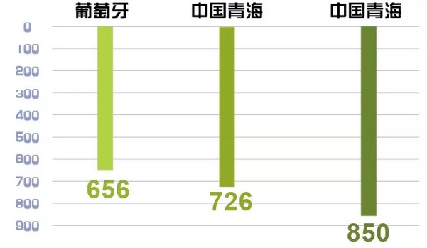 世界罕見(jiàn)｜剛剛 這個(gè)省不用火電了！