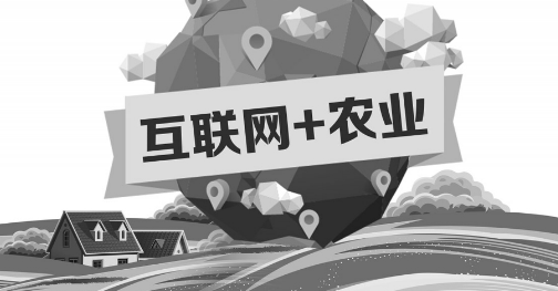 A5創(chuàng)業(yè)項(xiàng)目推薦：互聯(lián)網(wǎng)+農(nóng)業(yè)能碰撞出怎樣的新發(fā)展？