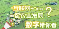 “互聯(lián)網(wǎng)+”如何促農(nóng)業(yè)發(fā)展？數(shù)字帶你看