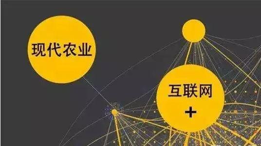 顛覆！裂變！賦能！互聯(lián)網(wǎng)+農(nóng)業(yè)領(lǐng)域的“豬飛起來了”