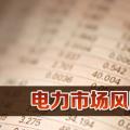 電力市場(chǎng)風(fēng)險(xiǎn)管理方法