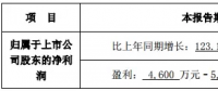 隆基、晶科齊發(fā)聲 “531”利大于弊？