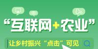 圖解丨“互聯(lián)網(wǎng) 農業(yè)”讓鄉(xiāng)村振興“點擊”可見