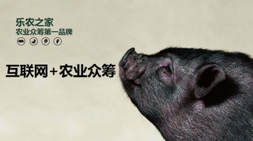 互聯(lián)網(wǎng)+農(nóng)業(yè)眾籌只賺吆喝 利潤全被用戶拿走了？