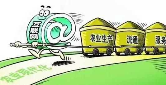 2018年農(nóng)村電商巨頭卡位戰(zhàn)：互聯(lián)網(wǎng)+農(nóng)業(yè)新玩法！