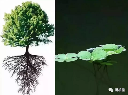 插樁式、坐底式 詳解海上風(fēng)電安裝平臺的作業(yè)方式