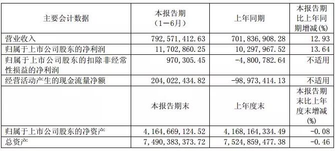 華儀電氣：上半年風電營收3.57億元 完成6MW海上風機概念設計、簽訂32萬千瓦風電場開發(fā)協(xié)議！