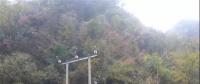 湖北整治關(guān)停100多座小水電站 , 其中宜昌48座、神農(nóng)架林區(qū)21座、恩施20座