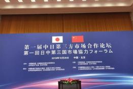 安倍晉三訪華 協(xié)鑫、天合和晶科為光伏行業(yè)長臉了！