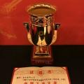 國家電網(wǎng)公司第四次榮獲中國工業(yè)“奧斯卡”獎(jiǎng)！