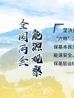 讀圖｜2020政府工作報告中這些內(nèi)容，和能源電力有關(guān)！