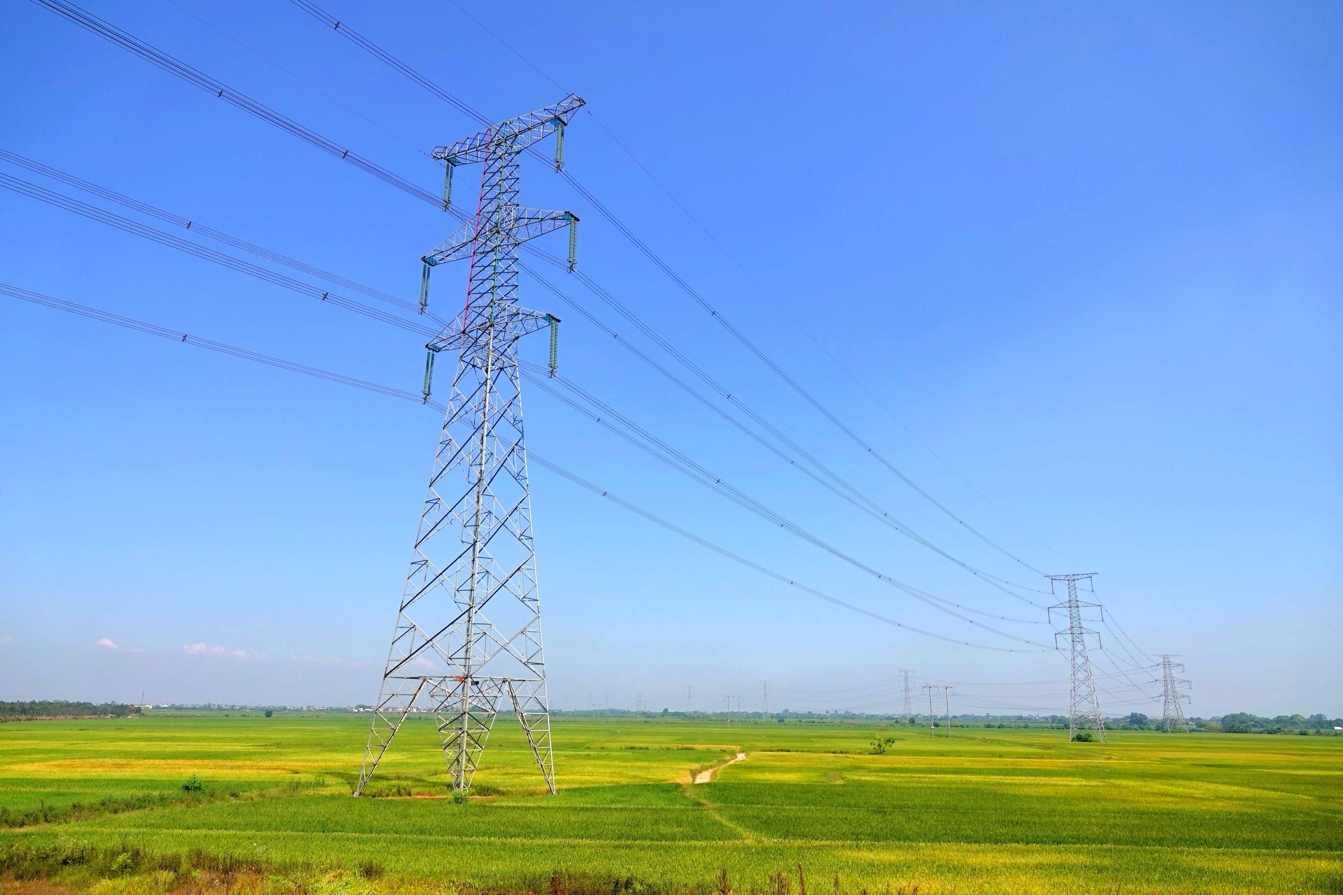 電力市場(chǎng)_電力行業(yè)it市場(chǎng)_《中國電力報(bào)》采訪并報(bào)道\